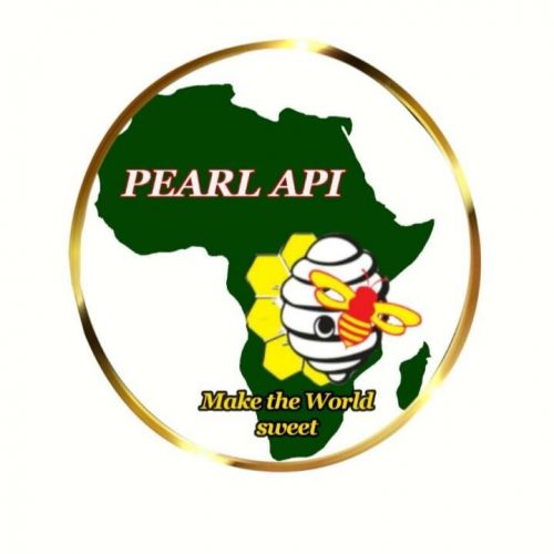 Pearl Api's Pitch Deck.pptx
